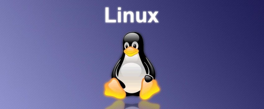 С Windows на Linux